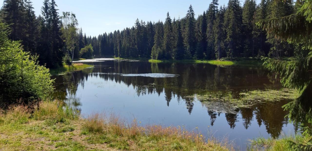 Penzion Jizerska Malina Bedřichov المظهر الخارجي الصورة