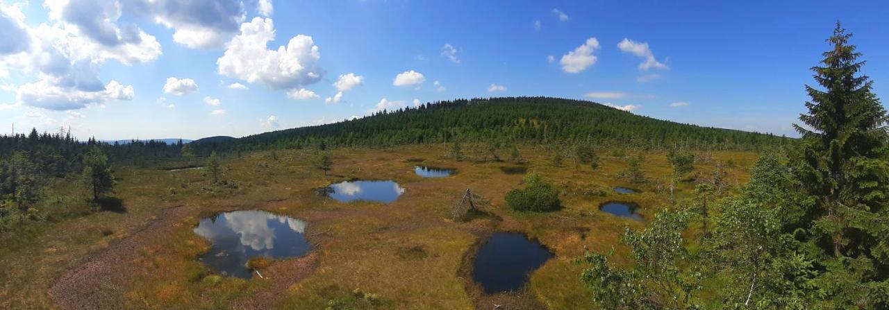 Penzion Jizerska Malina Bedřichov المظهر الخارجي الصورة